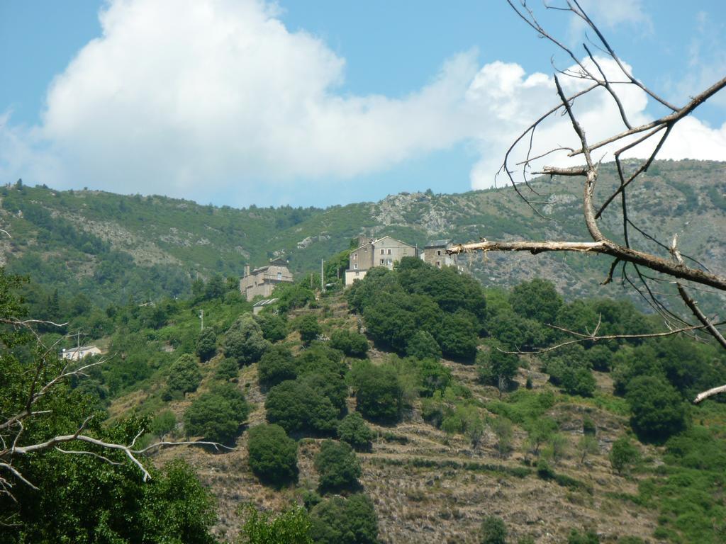 Vila Casa Valentini Quercitello Exteriér fotografie